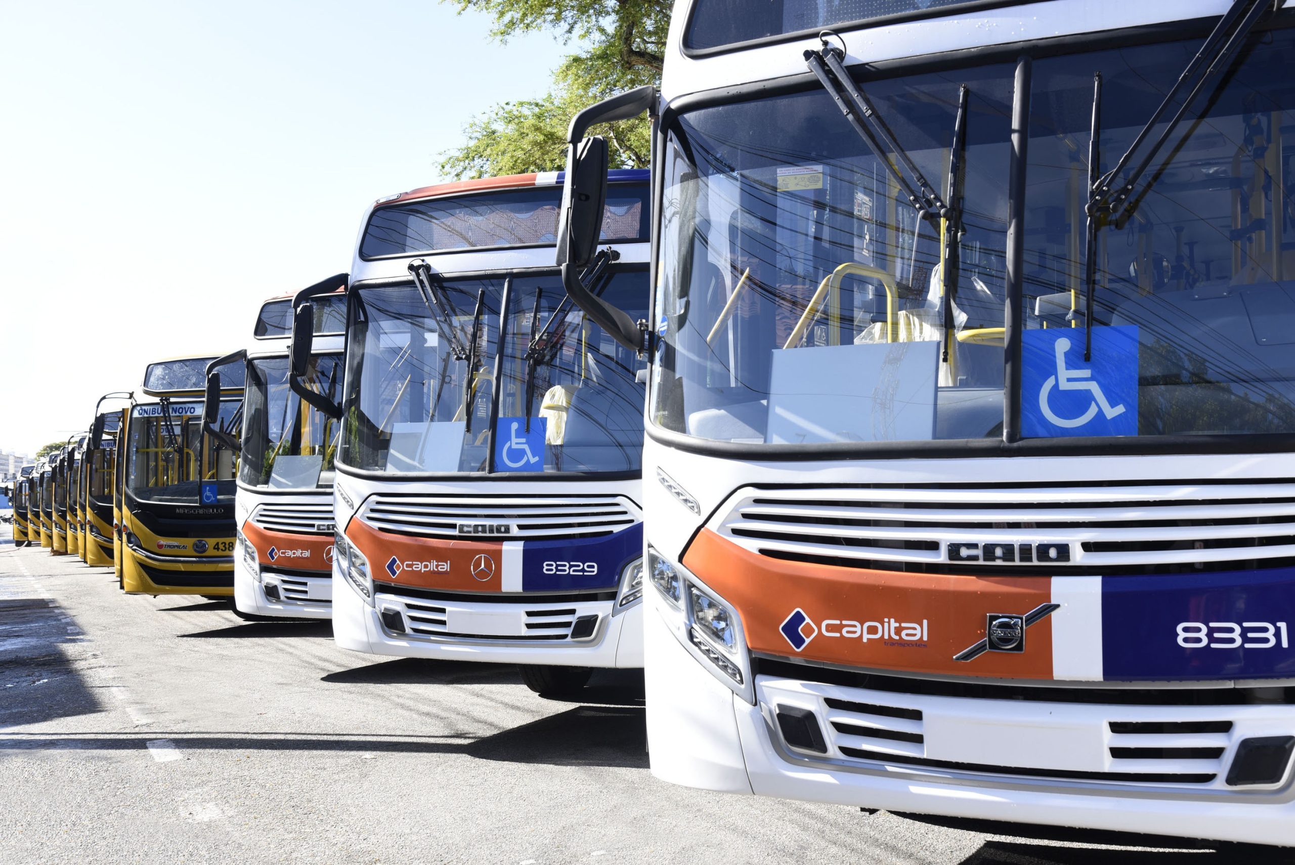 onibus aracaju ana licia menezes scaled