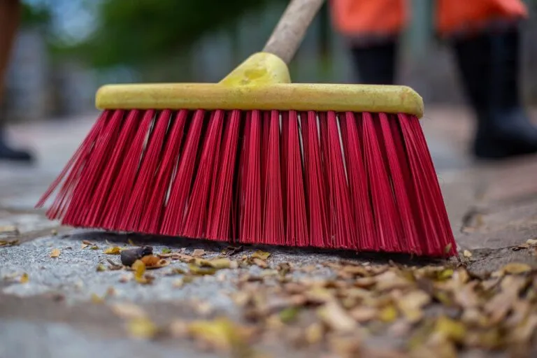 sweep 6319030 1280